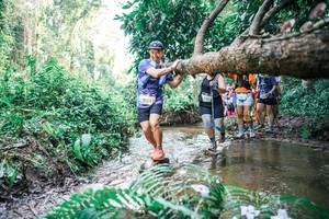 BIB: 
                            <button type="button" onclick="openModal(25475660)" class="btn btn-primary btn-sm float-right btn-popup" data-toggle="modal" data-target=".modal-high-quality">
                        <i class="fas fa-shopping-cart"></i> Add to Cart
                    </button>
                                            <button type="button" onclick="isThisMe(25475660, true)" class="btn btn-success btn-sm float-right btn-popup btn-isme hidden" data-toggle="tooltip" data-placement="bottom" title="นี่คือรูปของคุณใช่ไหม คลิกที่นี่เพื่อเอาเข้าอัลบั้ม">
                        <i class="fas fa-plus"></i> Add to album
                    </button>
                    <button type="button" onclick="isThisMe(25475660, false)" class="btn btn-warning btn-sm float-right btn-popup btn-isnotme hidden">
                        <i class="fas fa-ban"></i> Remove from album
                    </button>